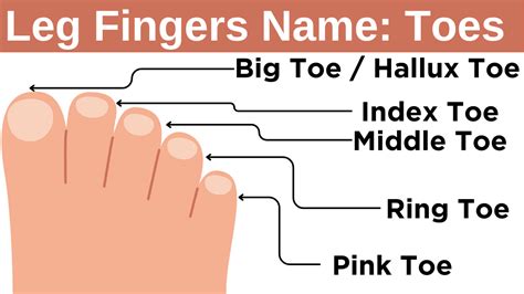 feet finger iniciar sesin|Login